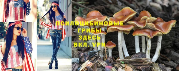 марки lsd Балахна
