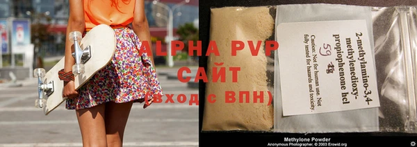 крисы Гатчина