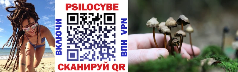 Галлюциногенные грибы MAGIC MUSHROOMS  гидра как зайти  Унеча 
