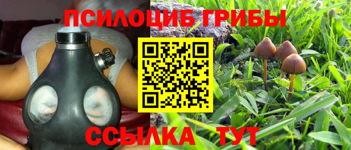 Псилоцибиновые грибы GOLDEN TEACHER  Вход с VPN  Унеча  Галлюциногенные грибы Psilocybine cubensis 
