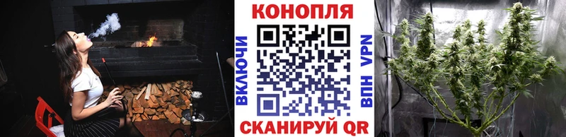 МАРИХУАНА план  Унеча 