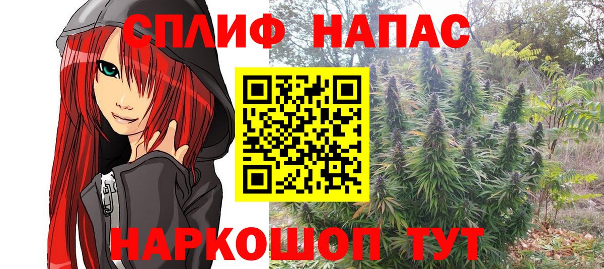Конопля гибрид  Вход с VPN  Унеча  Каннабис индика  Канабис Amnesia 